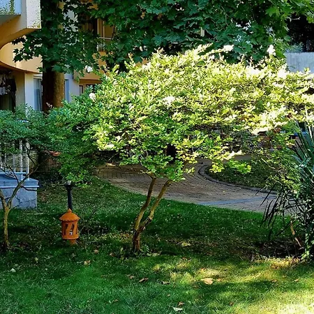 Niko * Sluneční pobřeží