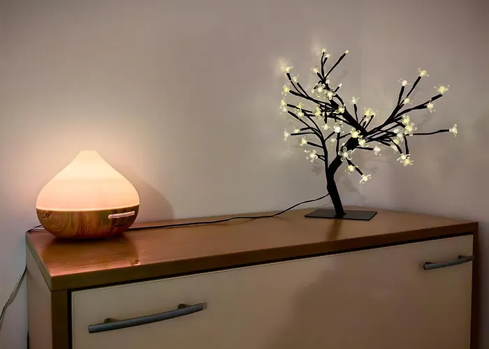 Niko Солнечный берег