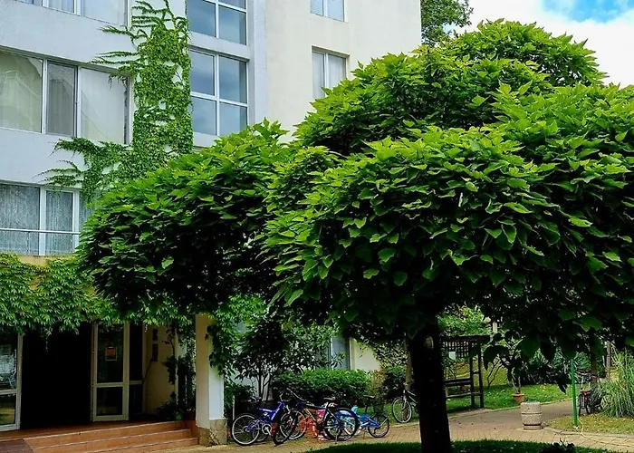 Niko * Солнечный берег