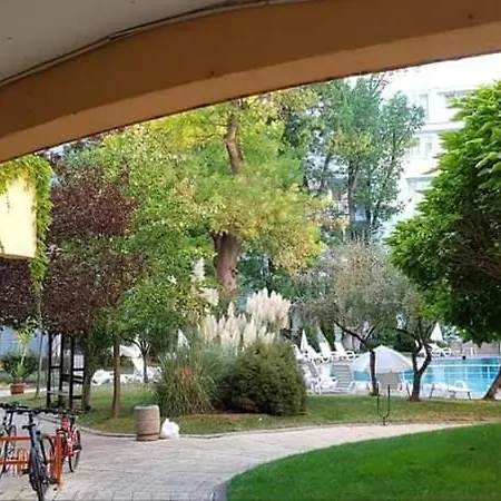 Niko * Sunny Beach