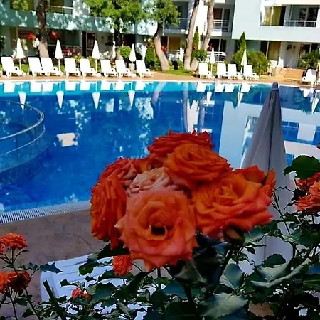 Niko Apartament Sunny Beach