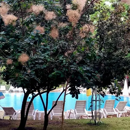 Niko Apartament Sunny Beach